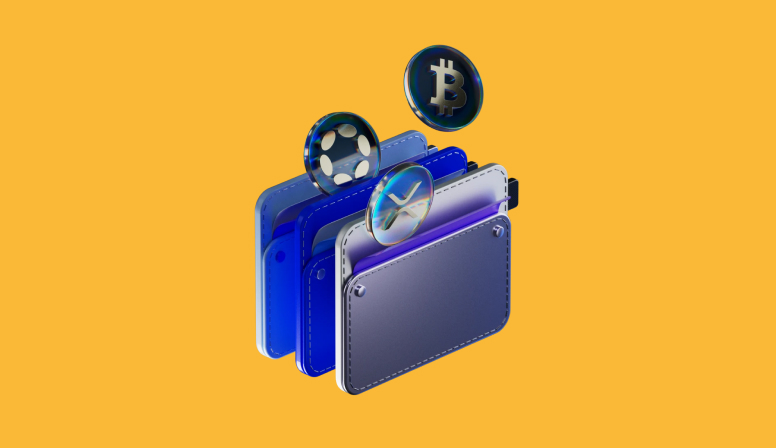 How To Choose Crypto Wallet: Your Ultimate Guide